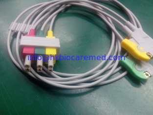 China compatível 3 conduz o leadwire do ecg, extremidade do grampo, IEC, M1613A fornecedor
