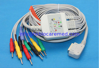 China Kanz PC-109 10 conduz o cabo do ECG com banana/extremidade do ruído, IEC fornecedor