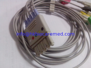 China compatível 5 conduz o fio de ligação de ECG com extremidade do grampo, IEC, M1971A fornecedor